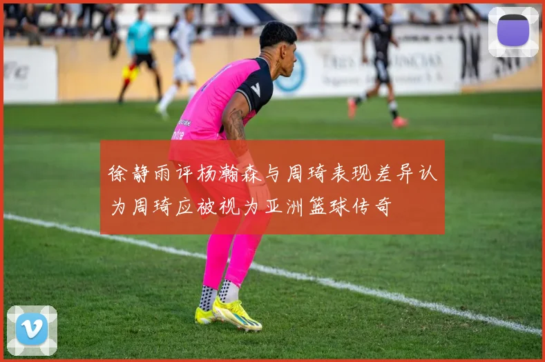 徐静雨评杨瀚森与周琦表现差异认为周琦应被视为亚洲篮球传奇