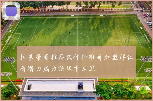 拉基蒂奇推荐武什科维奇加盟拜仁有潜力成为顶级中后卫